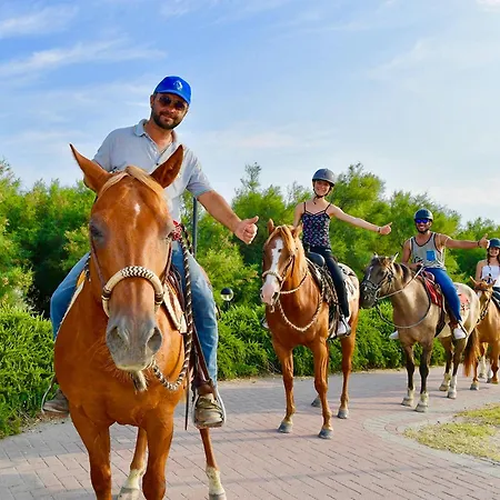 Barricata Village ホリデーパーク