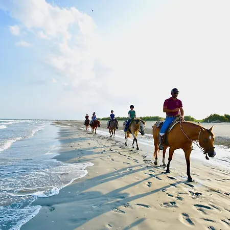 פארק נופש Barricata Village 5*