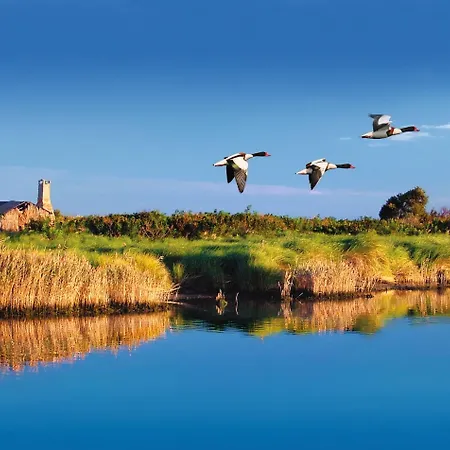 פארק נופש Barricata Village Scardovari