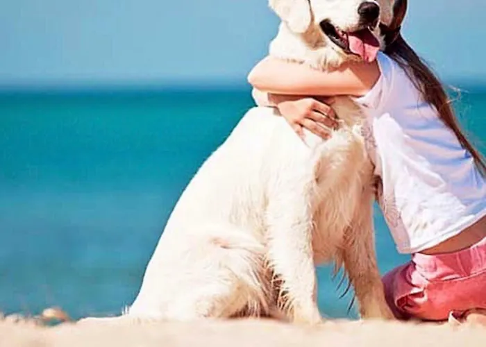 Vakantiepark Barricata Village 5*