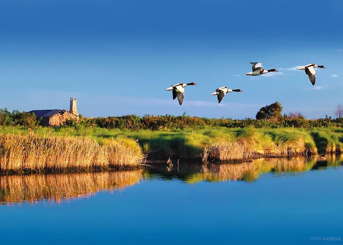 Vakantiepark Barricata Village Scardovari